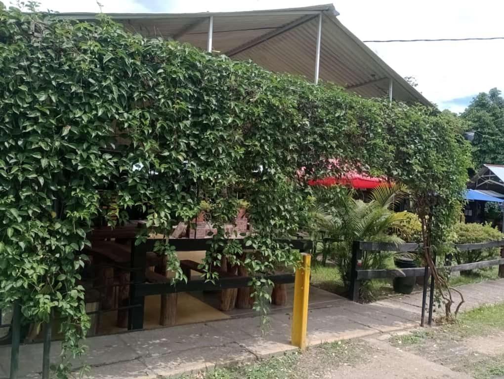 Loma Linda Hotel De Naturaleza ลาเมซา ภายนอก รูปภาพ